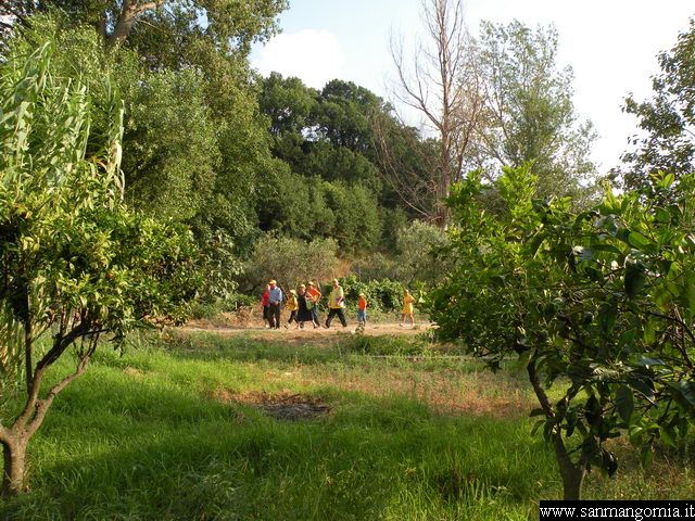 Foto 028